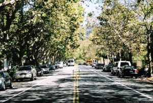 Berkeley California Accident